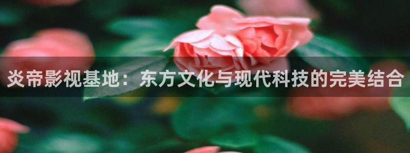 金桔影视下载
